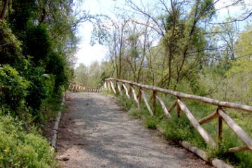 Pisca Ciclabile sotto il Belvedere